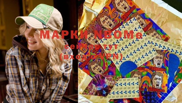 индика Абаза