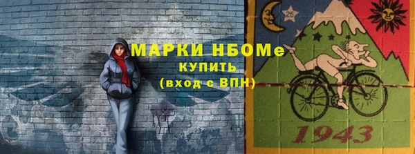 индика Абаза