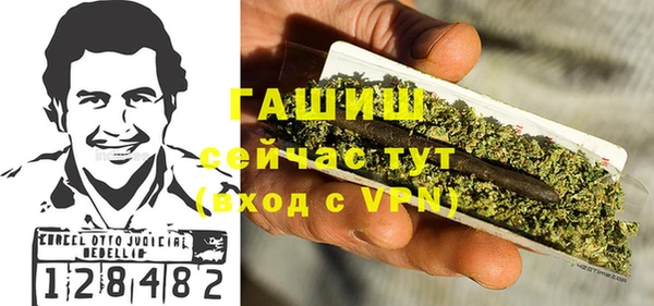 индика Абаза