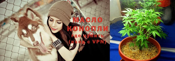 индика Абаза