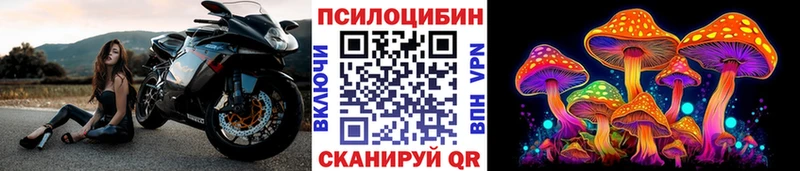 магазин  наркотиков  Западная Двина  MEGA как зайти  Псилоцибиновые грибы мухоморы 